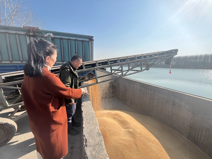“黨建領(lǐng)航，守護糧安”淮糧集團開展特色品牌黨建活動